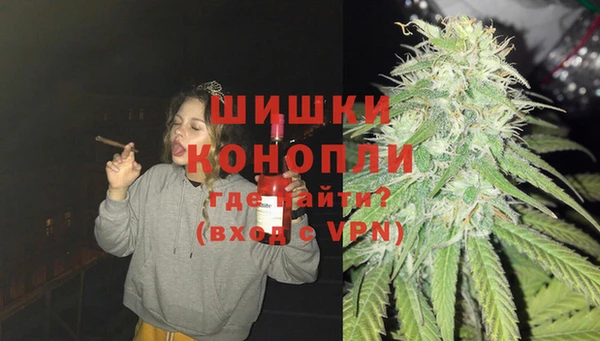 спайс Арсеньев